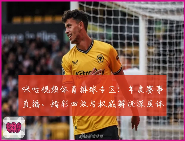 咪咕视频体育排球专区：年度赛事直播、精彩回放与权威解说深度体验